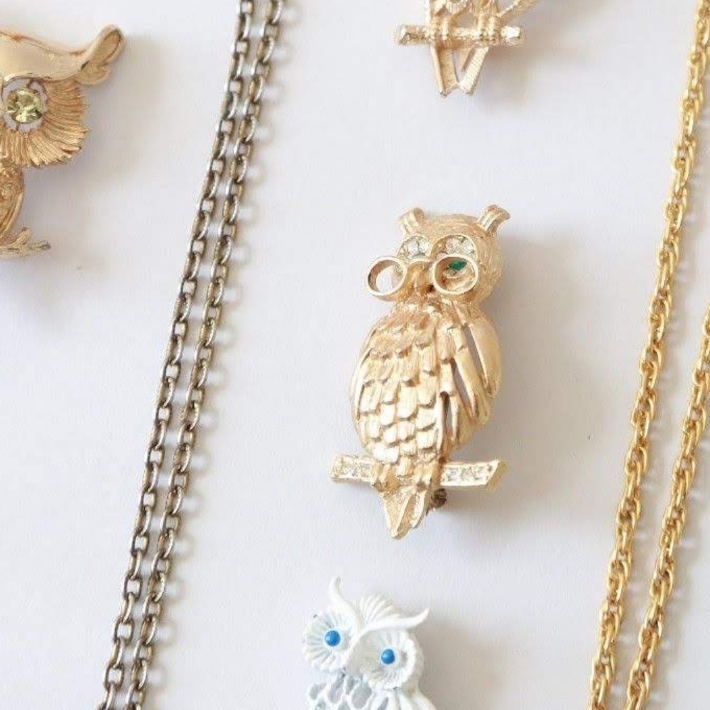 🦉 Vtg 70s wise owl pin